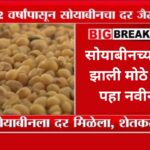Soybean rate
