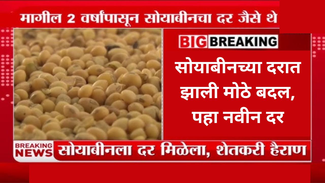 Soybean rate